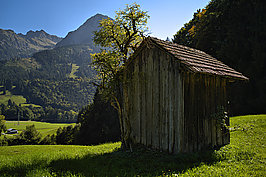 Fischen Rubi (3v9)_t.jpg